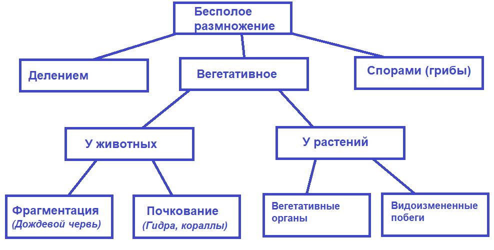Решение рисунок 1