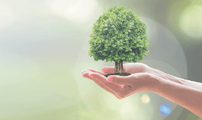 Задание рисунок 1