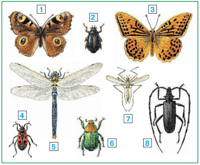Задание рисунок 1