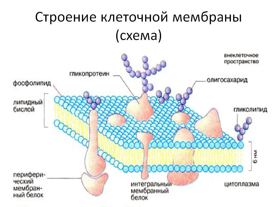 Решение рисунок 1